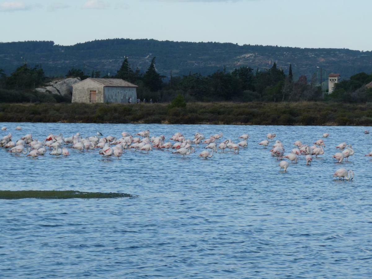Appartement De La Callade Peyriac-de-Mer Kültér fotó